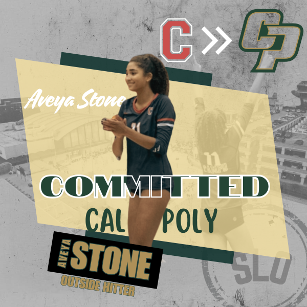 Aveya Stone Committed Graphic